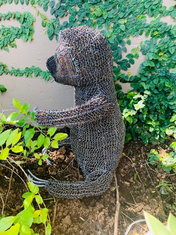 1fa2ed19-4f4d-4f4d-a67c-33327bab62d0