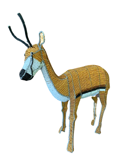 IMG_6030-removebg-preview