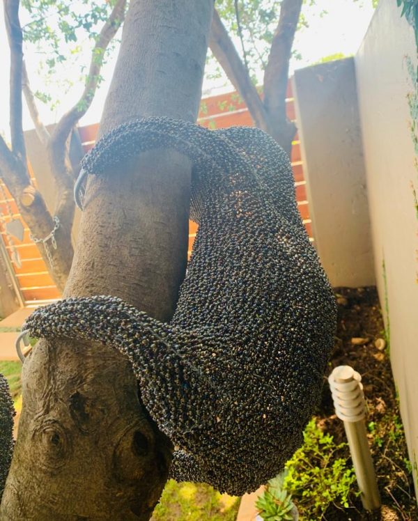 e509f08f-baee-4646-90c3-9fb426756bb4