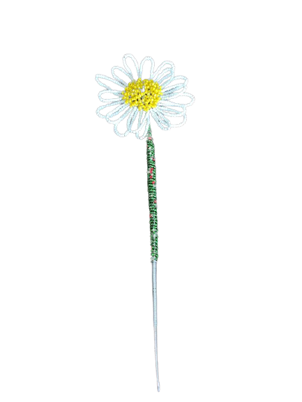 Daisy_Small-removebg-preview