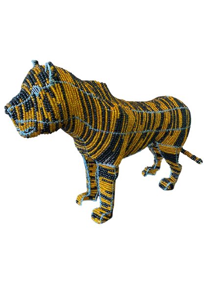 IMG_6522-removebg-preview