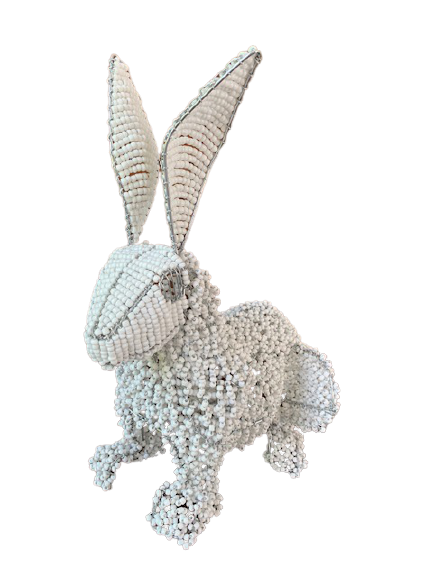 IMG_7114-removebg-preview