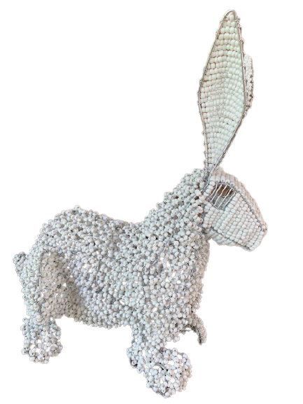 IMG_7116-removebg-preview