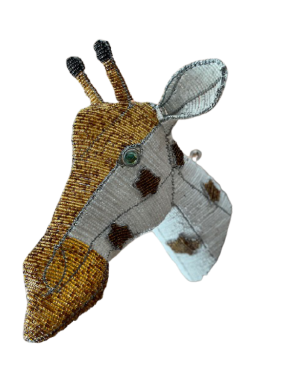 IMG_0368-removebg-preview