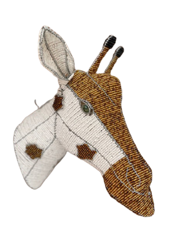 IMG_0369-removebg-preview