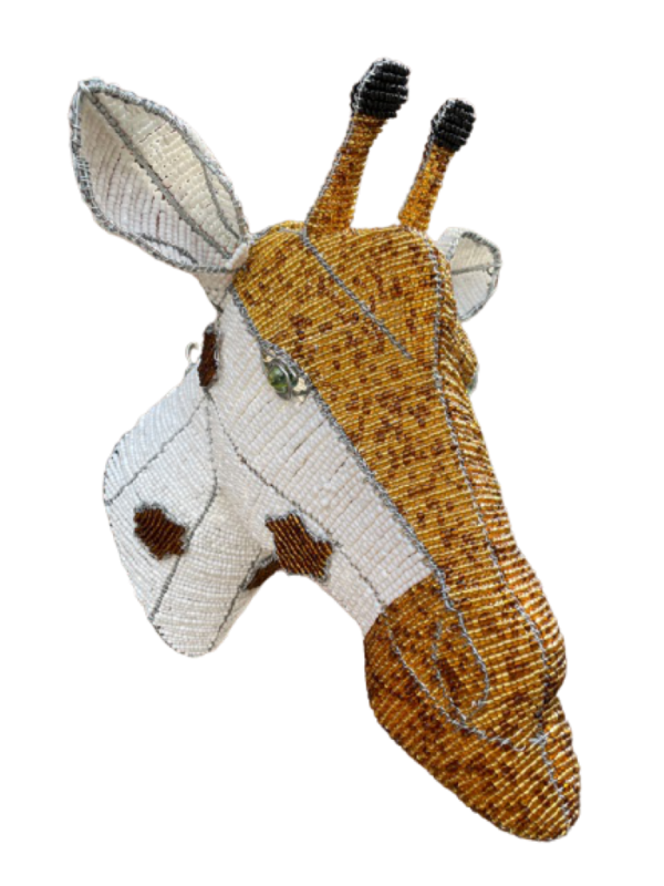 IMG_0378-removebg-preview