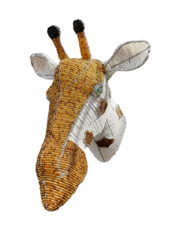 IMG_0379-removebg-preview