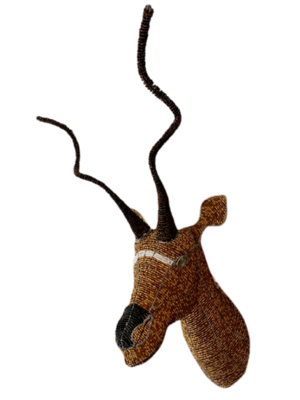 IMG_0480-removebg-preview