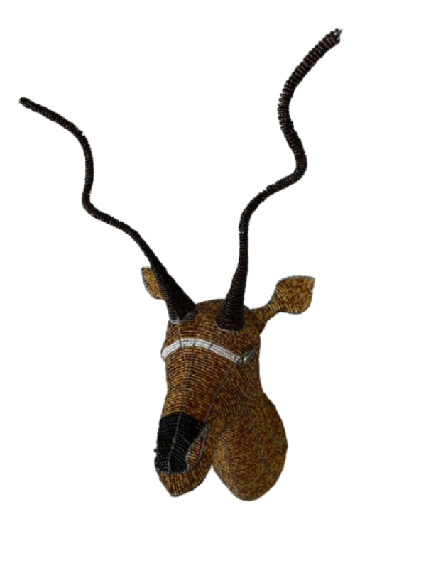 IMG_0488-removebg-preview