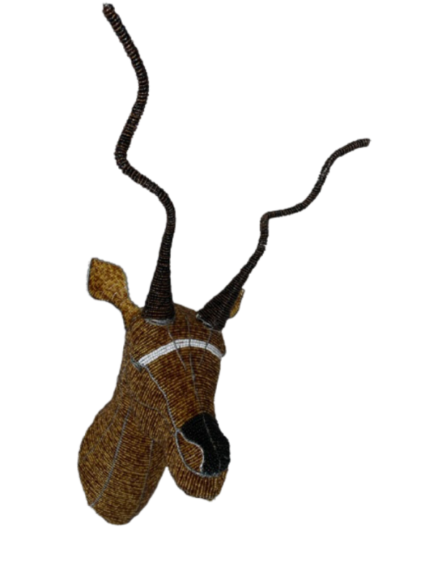 IMG_0490-removebg-preview