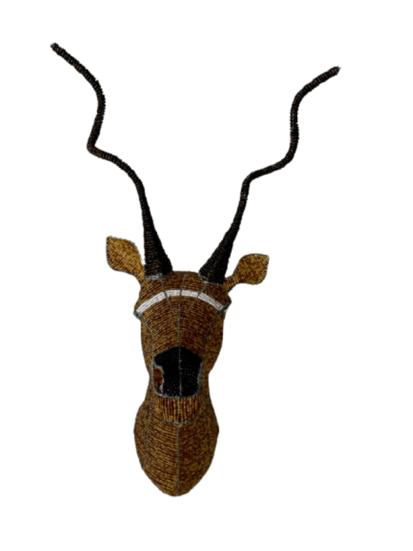 IMG_0491-removebg-preview