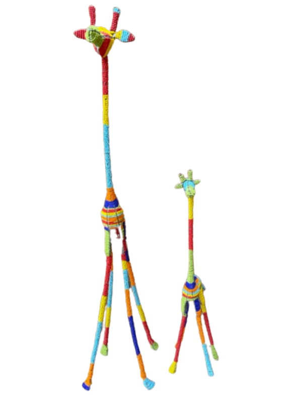 IMG_1202-removebg-preview