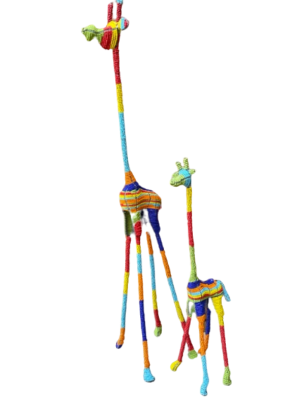 IMG_1203-removebg-preview