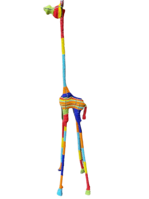 IMG_1206-removebg-preview